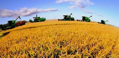 今秋大農機馬力全開 機械收獲秸稈還田深松整地 m.xzcq.com.cn