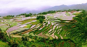 ɽ^rClչ}h m.xzcq.com.cn