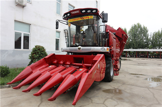 ИIȌƱיCNۺ m.xzcq.com.cn